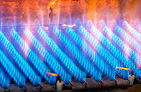 Bramshill gas fired boilers